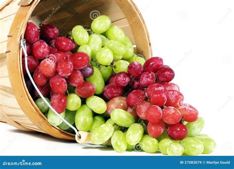 Thompson Seedless Grapes Stock Photography | CartoonDealer.com #32666744