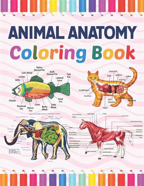 Buy Animal Anatomy Coloring Book: Animal Anatomy and Veterinary ...
