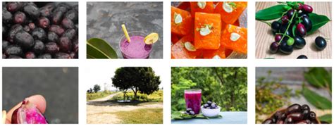 Image result for Java Plum Benefits