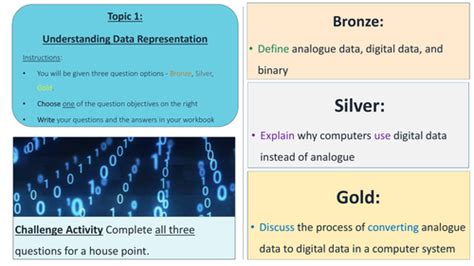 Image result for O Levels Computer Science Data Representation