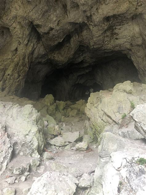 PAPPACABANA (Rucar) - Guesthouse Reviews & Photos - Tripadvisor