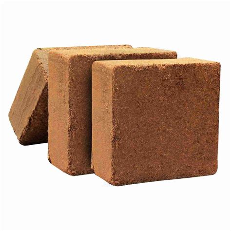 Buy Compressed Coco Peat Block (4.7Kg, Low EC) Online | Garden Supply ...