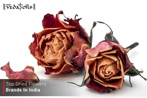Top Dried Flower Brands in India - Best Preserved Flower Brands – VedaOils