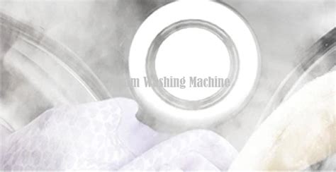 5 Best Steam Washing Machines Reviewed for 2025