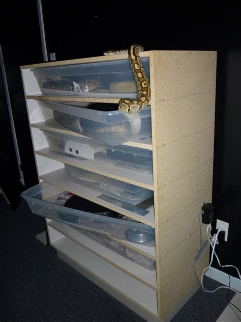 Image result for DIY Ball Python Rack