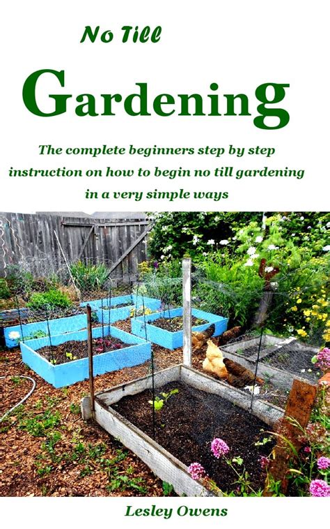 No-Till Gardening Techniques 的图像结果