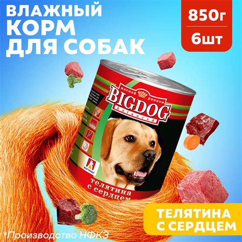Влажные корма для собак Зоогурман – купить в интернет-магазине OZON по ...