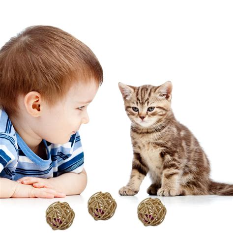 Sound Ball For Indoor Cats