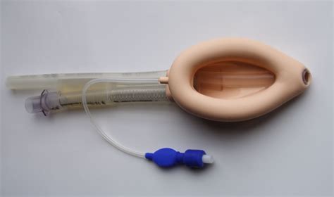 File:ProSeal Laryngeal Mask Airway inflated 001.jpg - Wikimedia Commons