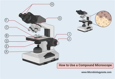 Working of Compound Microscope Class 12 的图像结果