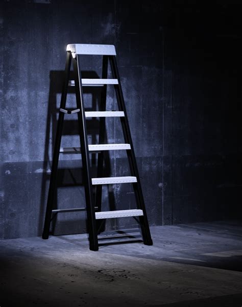 Image result for Ladder Lass