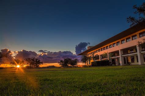 Ave Maria University - Acceptance Rate, Deadlines & Admission Info