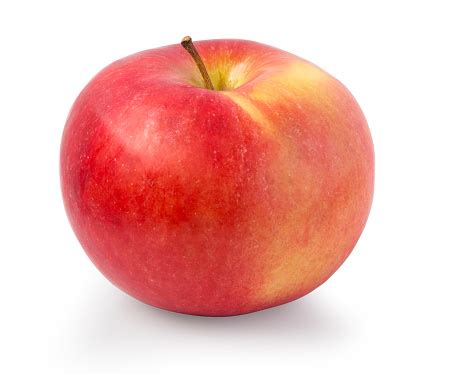 Image result for Apple System.Data