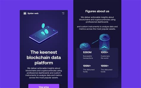 Spider Web Website HTML CSS JavaScript 的图像结果