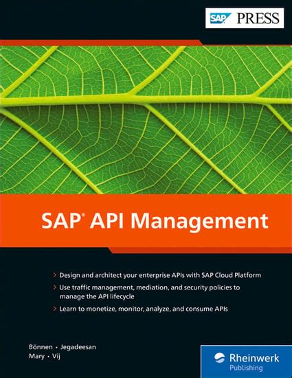 Image result for SAP API Management Logo