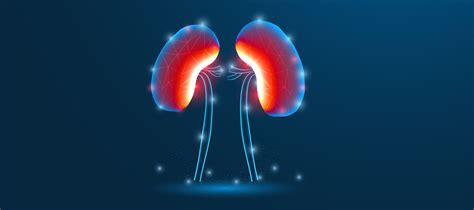 Kidney Stone Pain Relief: Best Positions & Tips at Home