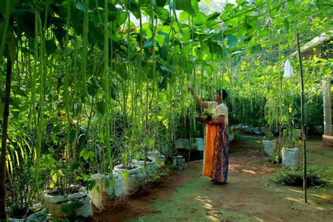 Kerala State Horticultural Products Development Corporation Ltd – Mal ...