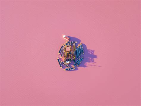Las Salinas de Torrevieja: All you need to know about the pink salt lake.