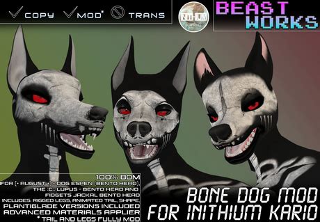 Image result for BoneLab Dog Mod