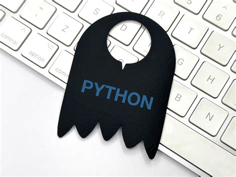 Image result for Debugging Duck Python
