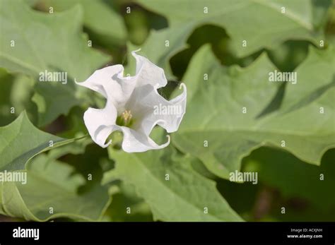 Image result for Make Video File Smaller