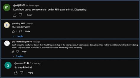 19 Foot Python 的图像结果