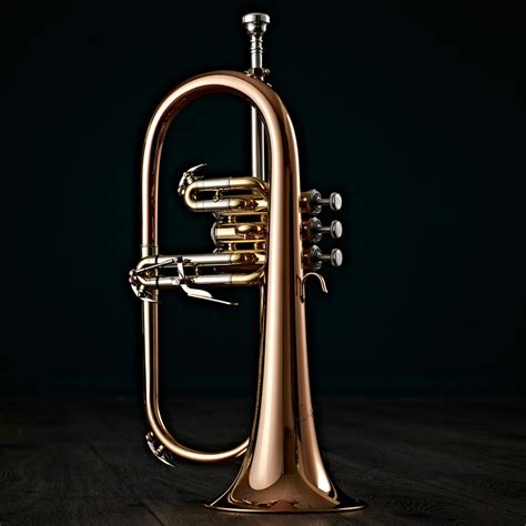 Image result for Brass Music Instruments