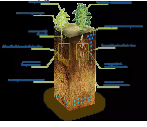 Image result for Natural Compaction