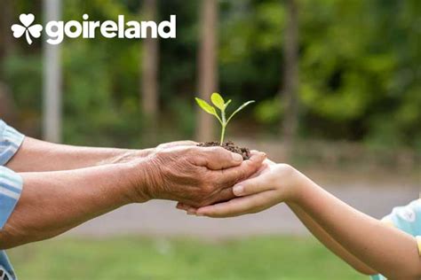 Masters in Environmental Engineering in Ireland | MSc Environmental ...