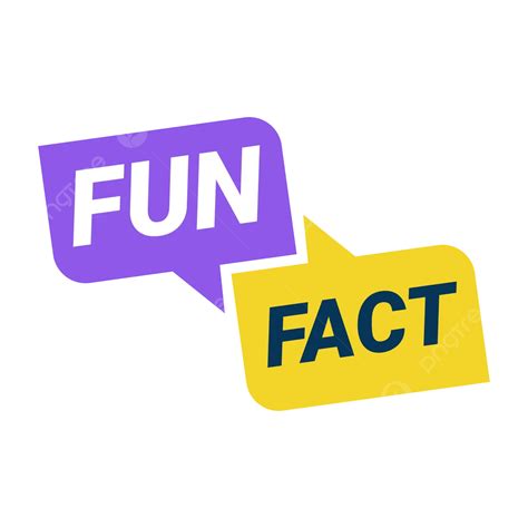 Que Es Fun Fact En Ingles at Brain Ervin blog