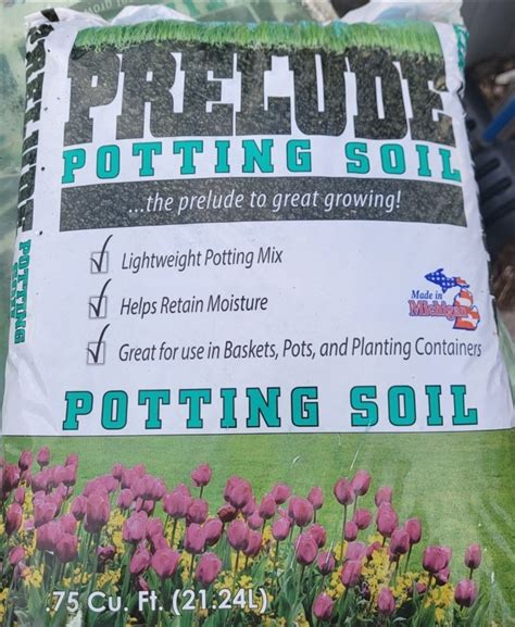 Best Bagged Topsoil For Vegetable Garden at Cameron Maughan blog