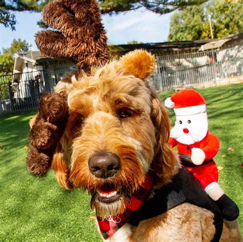 The Sam Simon Foundation (@samsimonfoundation) • Instagram photos and ...