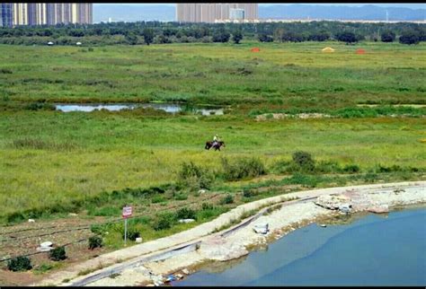 内蒙古包头黄河国家湿地公园-内蒙古包头黄河国家湿地公园值得去吗|门票价格|游玩攻略-排行榜123网