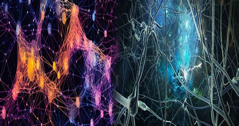 Deep Learning Is Convolution Neural Networks 的图像结果