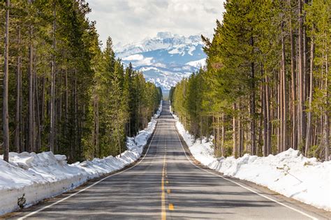 Weather-permitting, additional roads in Yellowstone National Park to open Friday, May 12 ... - climate of yellowstone national park