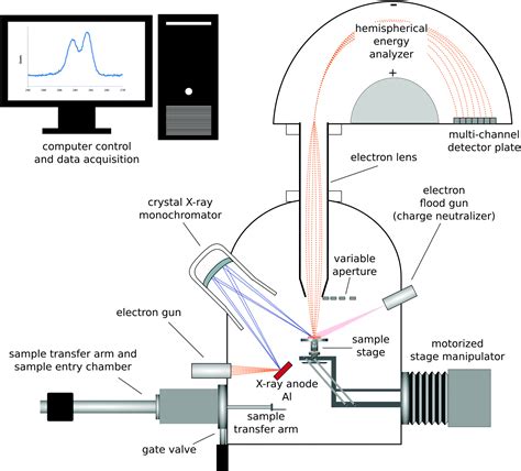 Surface analysis tools for characterizing biological materials - Chemical Society Reviews (RSC ...
