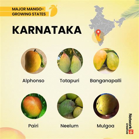 From Alphonso To Gulabkhas, Varieties Of Mangoes Are Grown Across ...