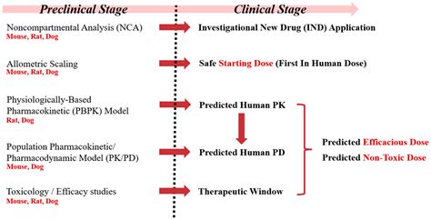 Translational Pharmacokinetic-Pharmacodynamic Modeling of a Novel Oral ...