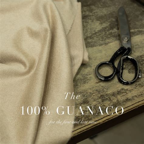 Guanaco 100-13 | PROFESSORE RAMBALDI