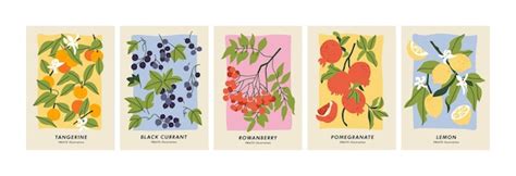 Vector illustration set of botanical posters with different fruits art ...