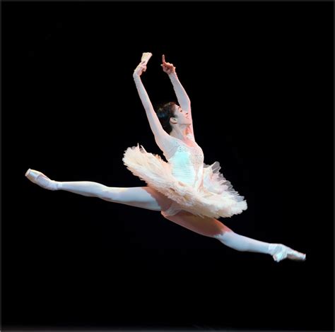 Russian Ballet Icons 的图像结果