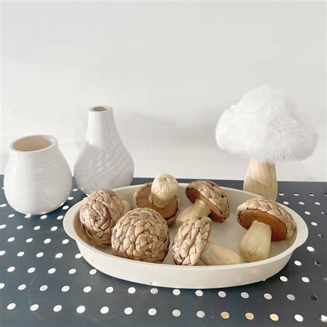 Honeybloom 6-Piece Woven Mushrooms in Box