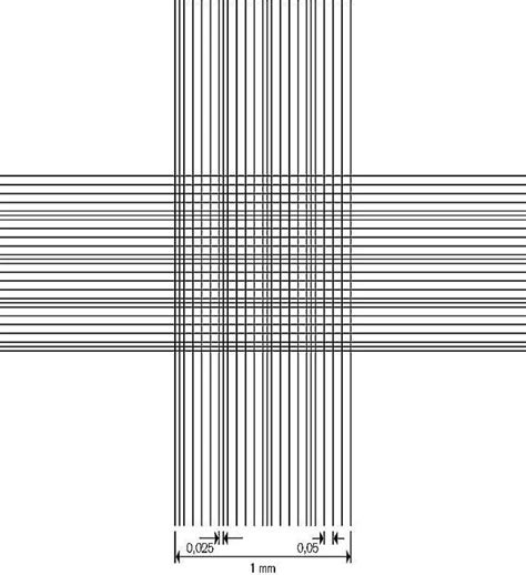 Counting chambers, Thoma pattern, BLAUBRAND®, double ruling | BRAND