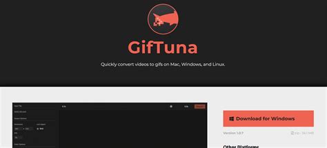 Best High Quality GIF Converters of 2026 | Top MP4 to GIF Converters