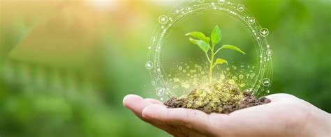 Home :: Ecogenesis Life Sciences