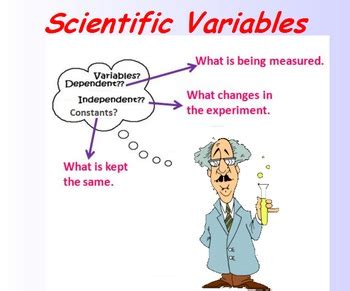Image result for Types of Scientific Variables