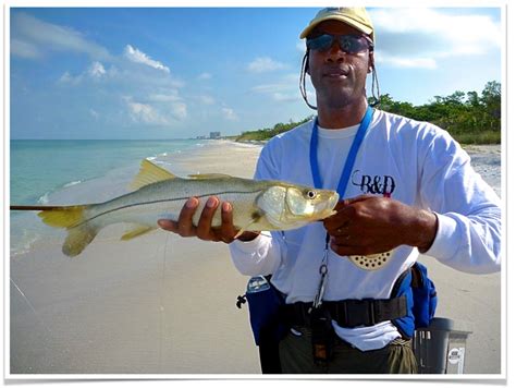 Snook Fly Patterns 的图像结果