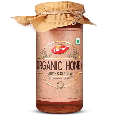 Dabur Raw Organic Honey, 500 gm – Dealderma