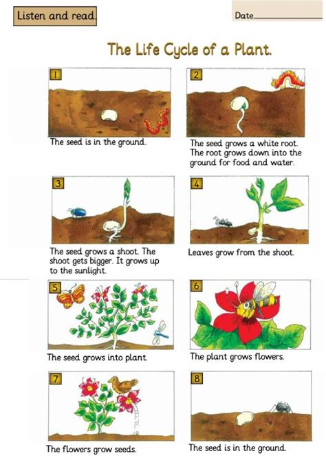 Cycle 的图像结果