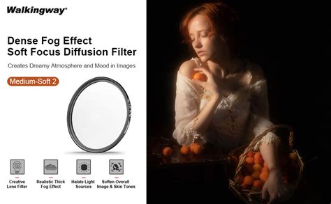 Image result for Camera Diffusion Filter